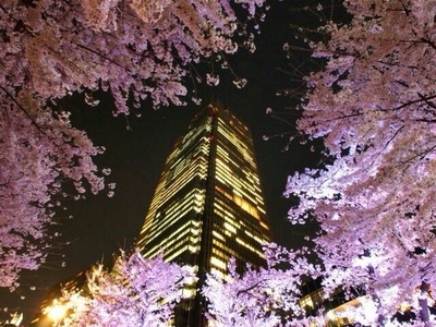夜桜３.jpg