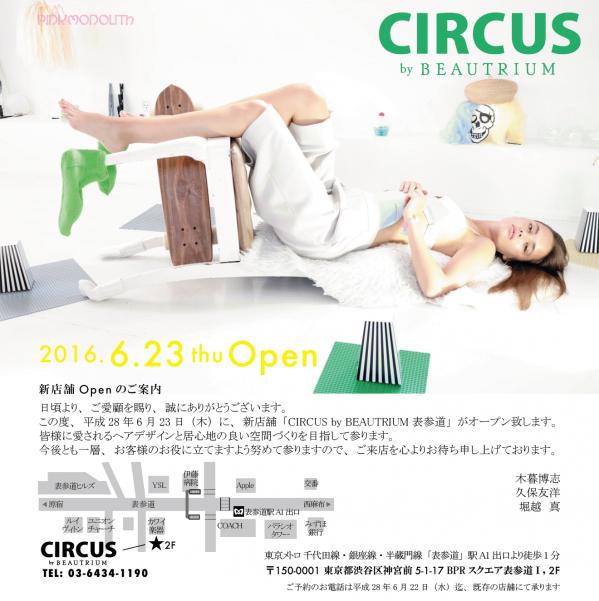 circus_by_beautrium_omotesasdo_open.jpg